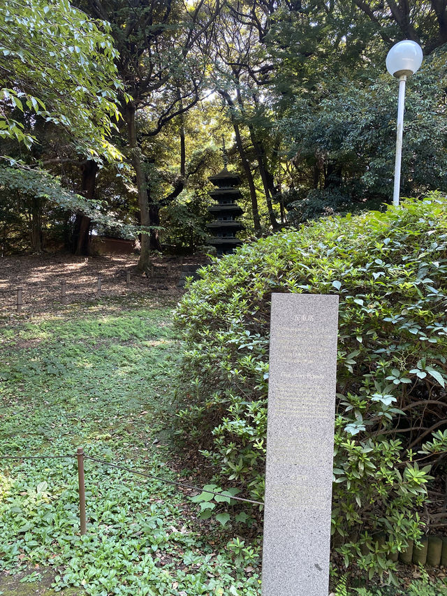 【東京都上野🇯🇵東京国立博物館　庭園】歴史に触れながらのんびり散歩☺️