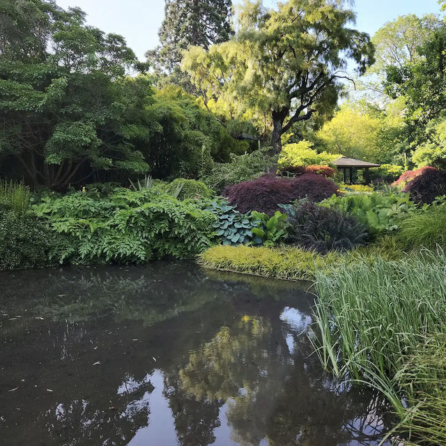 Dunedin Botanic Garden Dunedin Botanic Garden