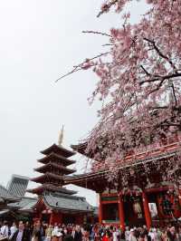 淺草寺（せんそうじ）