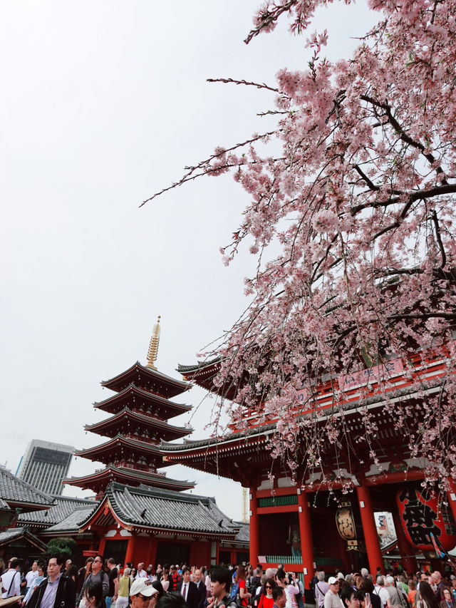 淺草寺（せんそうじ）