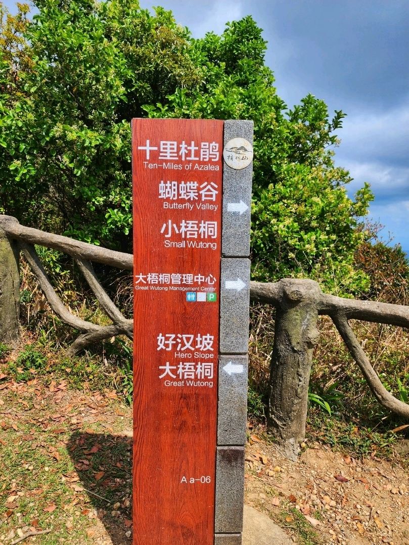 ⛰️深圳梧桐山攻略｜好汉坡·鹏城第一峰·體驗城市最高的自然魅力