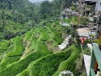 📍 뜨갈랄랑 계단식 논(Tegalalang Rice Terrace) 방문 후기
