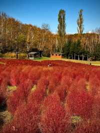 TAKINO SUZURAN HILLSIDE NATIONAL GOVERNMENT PARK.