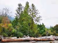 溫哥華波特灣省立公園:海水湛藍🌊