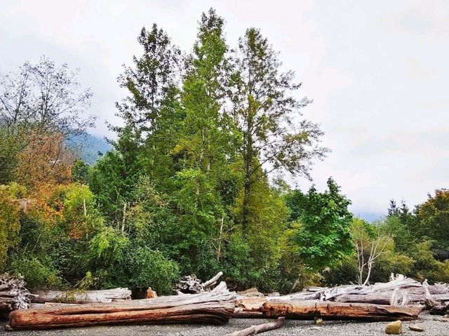 溫哥華波特灣省立公園:海水湛藍🌊 溫哥華波特灣省立公園:海水湛藍🌊