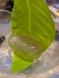 🇯🇵元朗和風打卡!一番日料激推Chill聚會