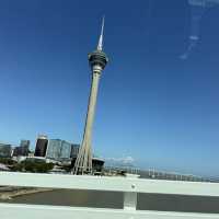 Planning a wild day in Macau Taipa? 