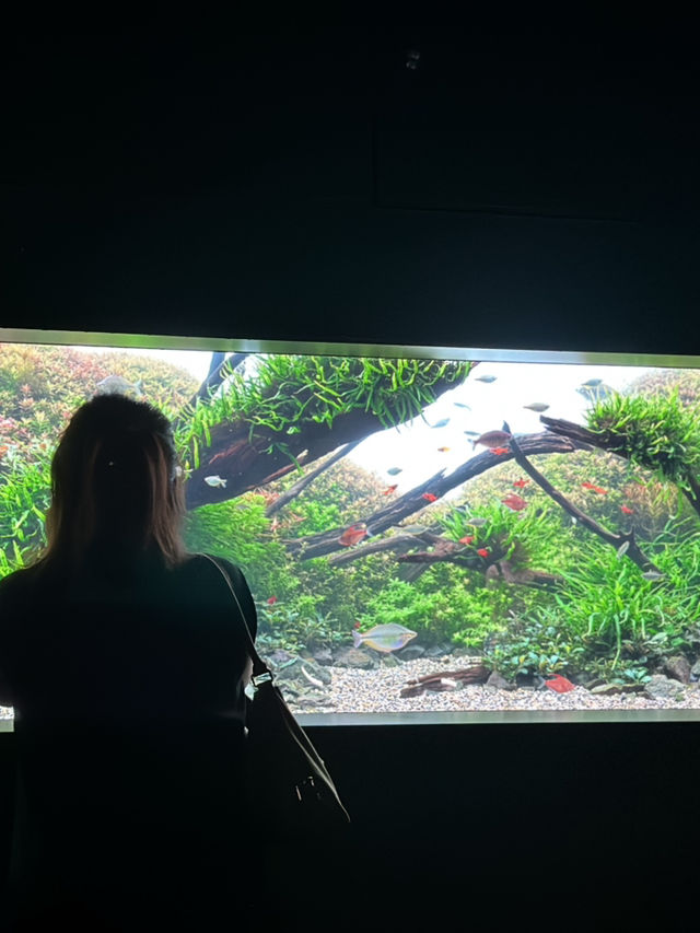 ✨Aquarium เดินทางง่ายใน Sapporo✨
