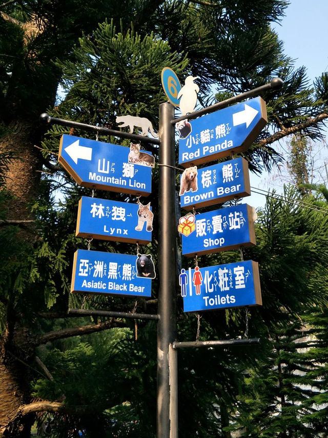 寓教於樂的親子天堂#臺北市立動物園-臺北市文山區