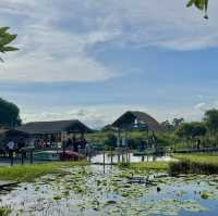 สวนพฤกษศาสตร์ระยอง 🏞️