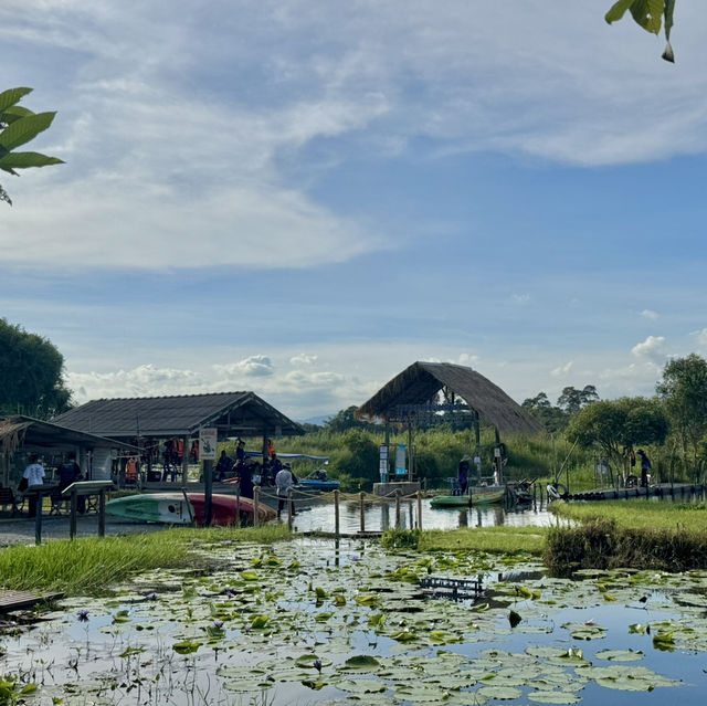 สวนพฤกษศาสตร์ระยอง 🏞️