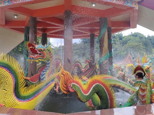 雲林古坑充滿咖啡香、又能看到桐花的「荷苞山步道」! 雲林古坑充滿咖啡香、又能看到桐花的「荷苞山步道」!