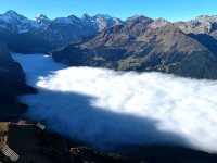 Grindelwald Forest