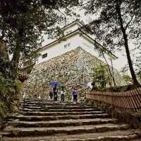 The Gentleman's Fortress: My Solo Visit to Hikone Castle, Shiga