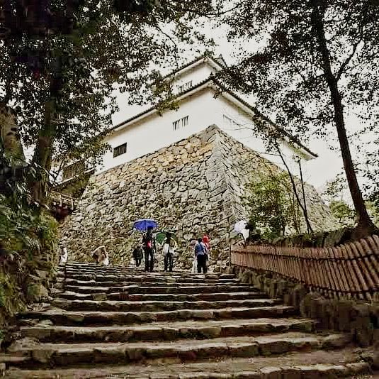 The Gentleman's Fortress: My Solo Visit to Hikone Castle, Shiga