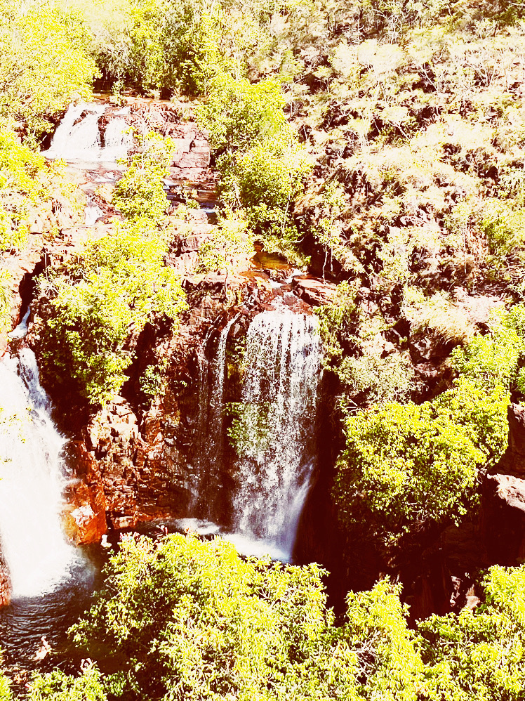 🌊 🇦🇺 Some waterfall you must Visit: Florence Falls: Dive into Darwin's Tropical Paradise! 🏊‍♂️