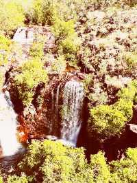 🌊 🇦🇺 Some waterfall you must Visit: Florence Falls: Dive into Darwin's Tropical Paradise! 🏊‍♂️