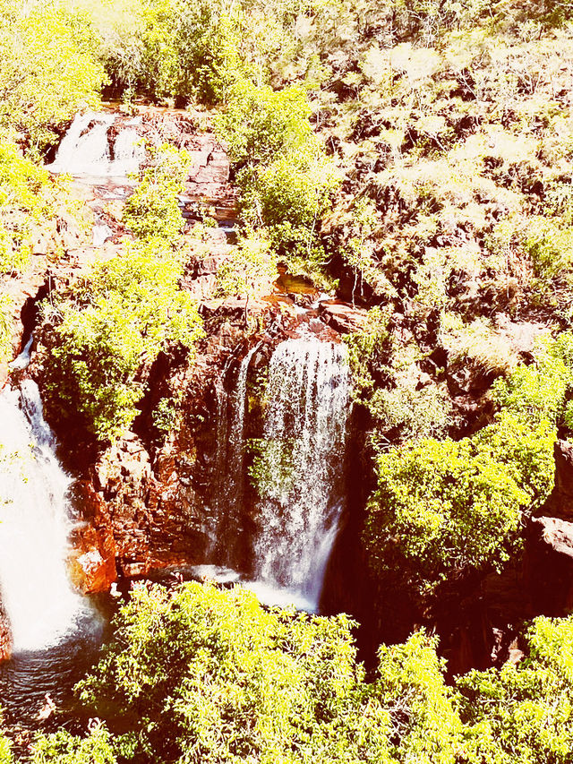 🌊 🇦🇺 Some waterfall you must Visit: Florence Falls: Dive into Darwin's Tropical Paradise! 🏊‍♂️