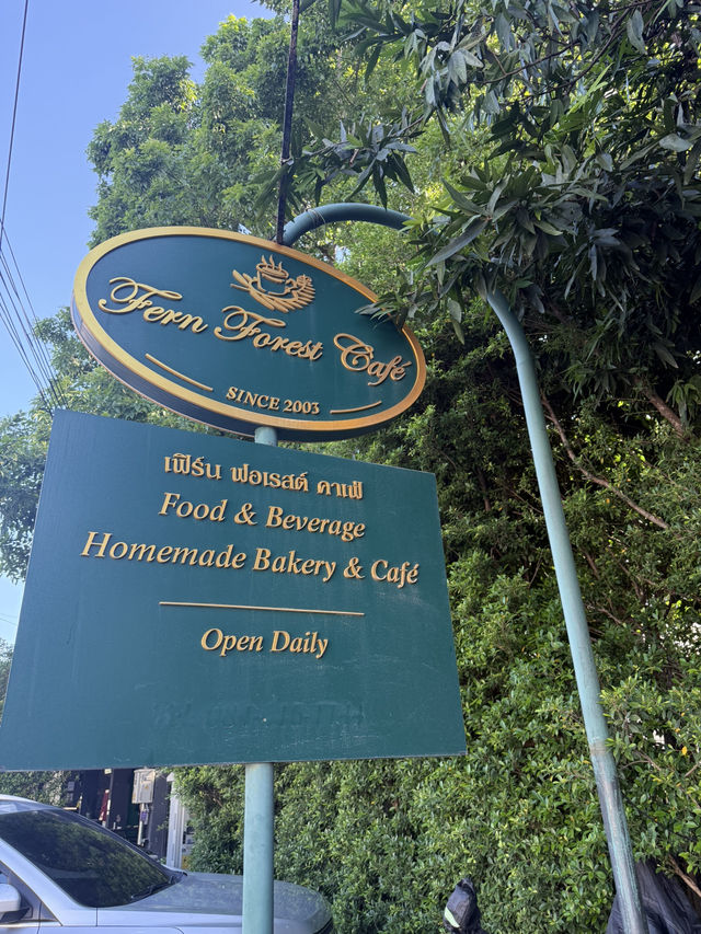📍คาเฟ่ในสวนเฟิร์นสุดร่มรื่นกลางเมืองเชียงใหม่