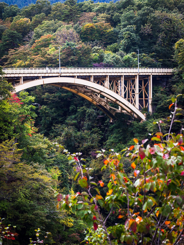 🌾 หุบเขานารุโกะ (Naruko Gorge, 鳴子峡)