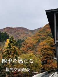 四季を感じながらくつろげる場所や地元産のものがたくさん！