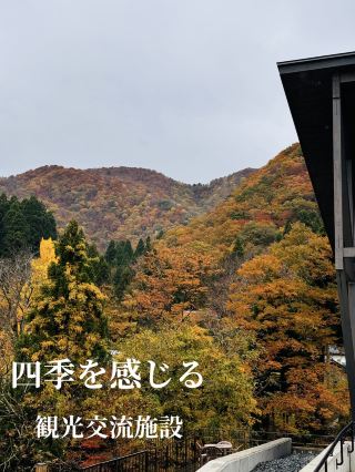 There are plenty of places to relax and enjoy the changing seasons, as well as plenty of locally produced products!