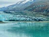 🧊 Glacier Bay National Park – Where Ice Meets the Wild