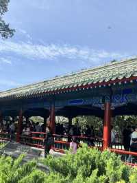 🏯世界遺産の静寂を歩く|北京・天壇公園(Temple of Heaven)