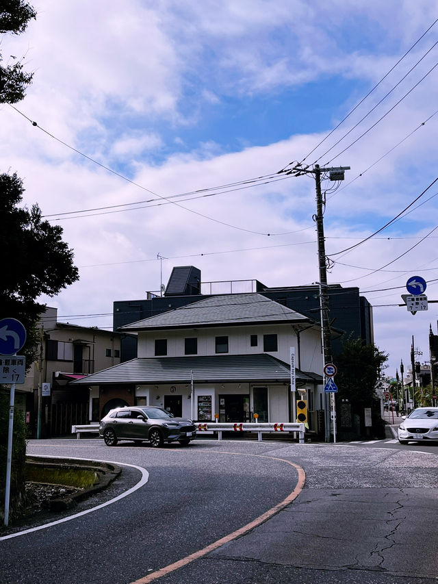 Tsurugaoka Hachimangu Shrine: Kamakura’s Majestic Cultural Jewel