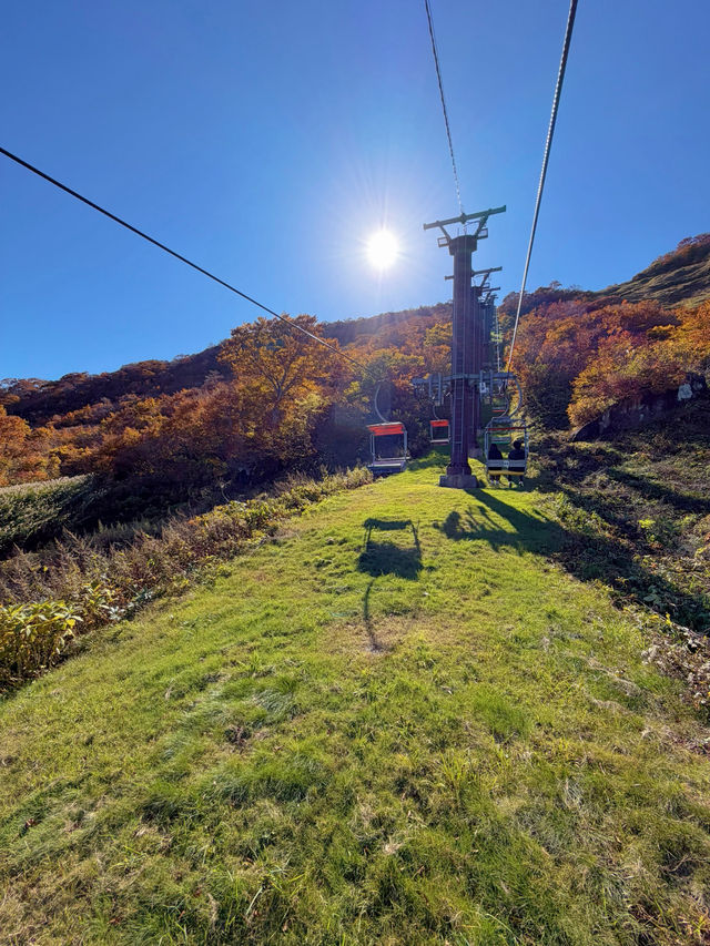 【群馬】今行くべき!!奇跡の絶景