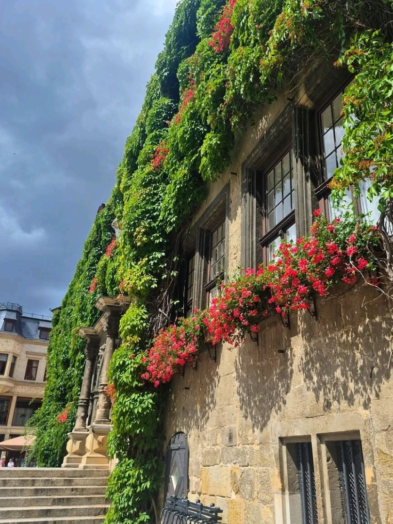 #hellohalloween
🌸🏘️ Quedlinburg – A Fairytale Frozen in Time! 🇩🇪✨

Wander through Quedlinburg’s maze of half-timbered houses, cobbled alleys, and historic charm dating back over a thousand years. 🕰️🏰 Visit the beautiful Quedlinburg Castle and Collegiate Church, and feel the magic of this UNESCO World Heritage town. 🌿💫

Every corner tells a story — calm, colorful, and timeless! 🌸❤️

Hashtag: #Quedlinburg #FairytaleTown #GermanyVibes #HistoricBeauty 🌍
