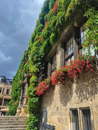 #hellohalloween
🌸🏘️ Quedlinburg – A Fairytale Frozen in Time! 🇩🇪✨

Wander through Quedlinburg’s maze of half-timbered houses, cobbled alleys, and historic charm dating back over a thousand years. 🕰️🏰 Visit the beautiful Quedlinburg Castle and Collegiate Church, and feel the magic of this UNESCO World Heritage town. 🌿💫

Every corner tells a story — calm, colorful, and timeless! 🌸❤️

Hashtag: #Quedlinburg #FairytaleTown #GermanyVibes #HistoricBeauty 🌍