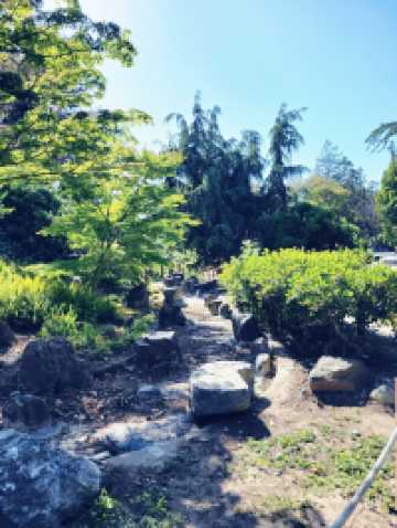 The Soloist's Urban Oasis: Japanese Friendship Garden of San Jose