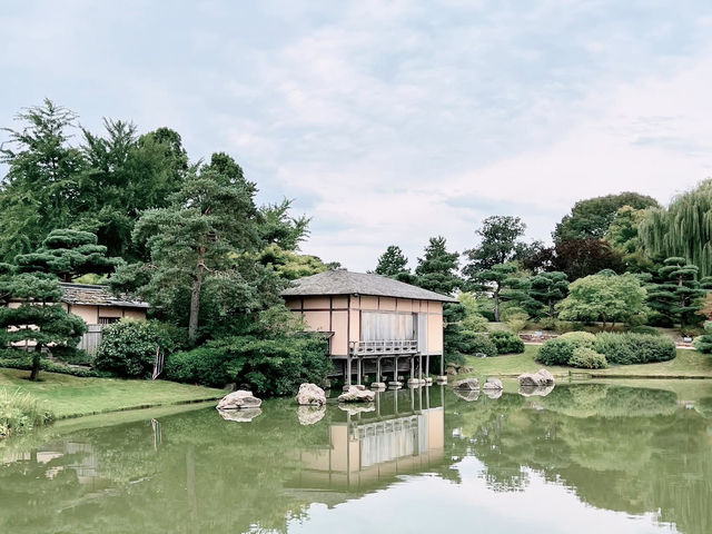 A Solo Serenade to Early Autumn: Elizabeth Hubert Malott Japanese Garden