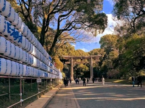 A Peaceful Escape in the Heart of Tokyo — Meiji Jingu Shrine