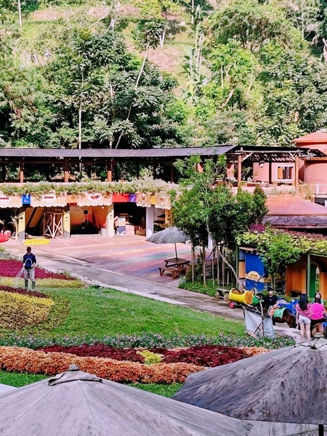 Wonders of The Great Asia Africa Wonders of The Great Asia Africa