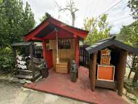 沖繩必去地方-長瀨島、美國村、海洋館、玉泉洞、（食）阿古豬