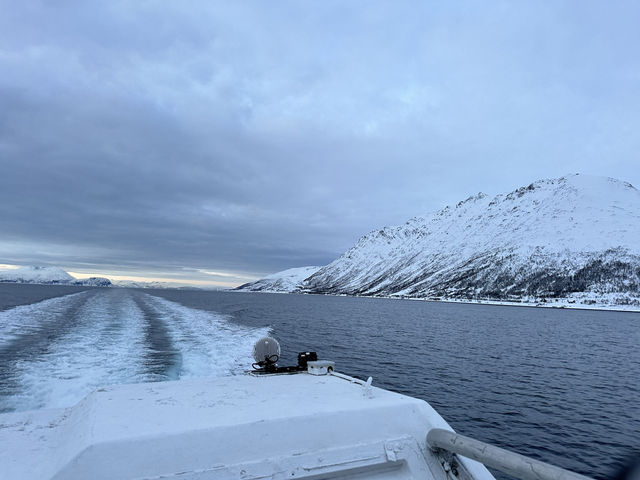雪山下最夢幻城市🌃