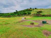 ์ ์ฃผ์ฌํ ์ถ์ฒ ์ฝ์ค ๐์ฐ๋ฐฉ์ฐ