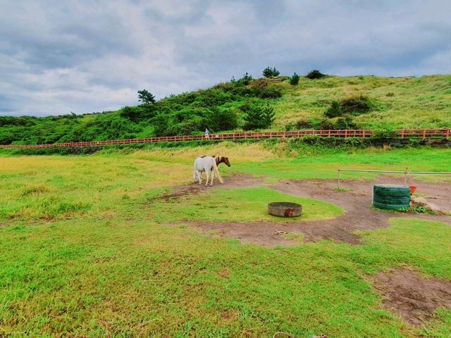 ์ ์ฃผ์ฌํ ์ถ์ฒ ์ฝ์ค ๐์ฐ๋ฐฉ์ฐ ์ ์ฃผ์ฌํ ์ถ์ฒ ์ฝ์ค ๐์ฐ๋ฐฉ์ฐ