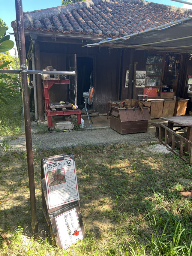 🇯🇵沖繩玉泉洞 × 沖繩世界王國村|走進神秘地底與琉球文化的一天 🇯🇵沖繩玉泉洞 × 沖繩世界王國村|走進神秘地底與琉球文化的一天