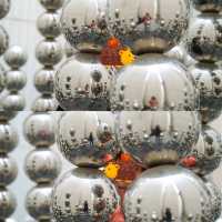 📷深圳文青打卡點📷