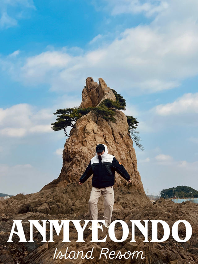 🇰🇷 리솜 아일랜드에서 즐기는 겨울 안면도 여행 가이드 🇰🇷 리솜 아일랜드에서 즐기는 겨울 안면도 여행 가이드
