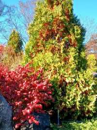 산책만으로도 힐링