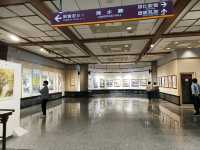 巨幅視界下的在地色彩