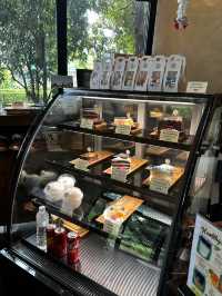 Rainforest Escape🌴