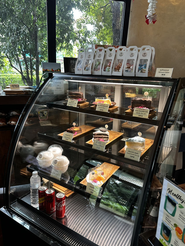 Rainforest Escape🌴 Rainforest Escape🌴