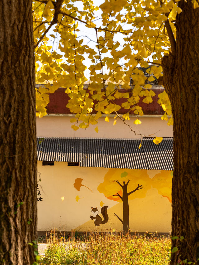 ๊ฒฝ์ฃผ ๋๋ฆฌ๋ง์ ์ํ๋๋ฌด ์ฒ ๊ฒฝ์ฃผ ๋๋ฆฌ๋ง์ ์ํ๋๋ฌด ์ฒ