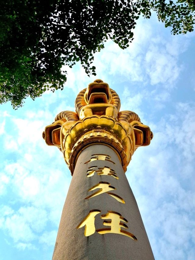 Atraksi Top di Shanghai ✨️