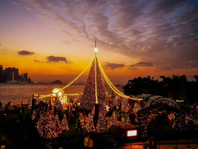 A Canopy of Constellations Stitched into Twilight A Canopy of Constellations Stitched into Twilight